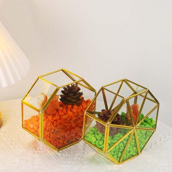 Creative golden glass artifact windows display box garden dried flowers green plants succulent plant ornaments