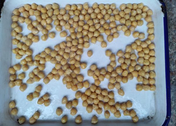 O sabor salgado enlatou feijões do grão-de-bico sem a impureza