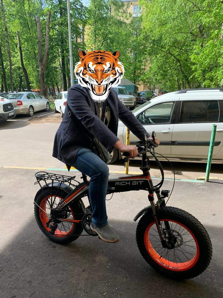 Богатое сдержанное топ-016 20 автошина 48v 500w 9.6Ah Chaoyang велосипеда 4,0 Ebike 20in автошины дюйма жирная электрическая