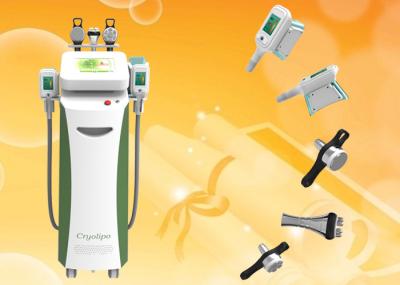 RF Cavitation Cryolipolysis Slimming system nbw-c325 For weight loss criolipolisis/cavitation/Rf 3 in 1 technology