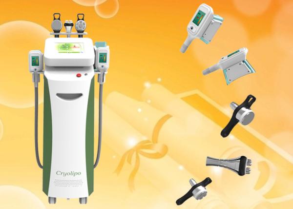 effective weight loss cryolipolysis slimming machine with 5 handles for clinic