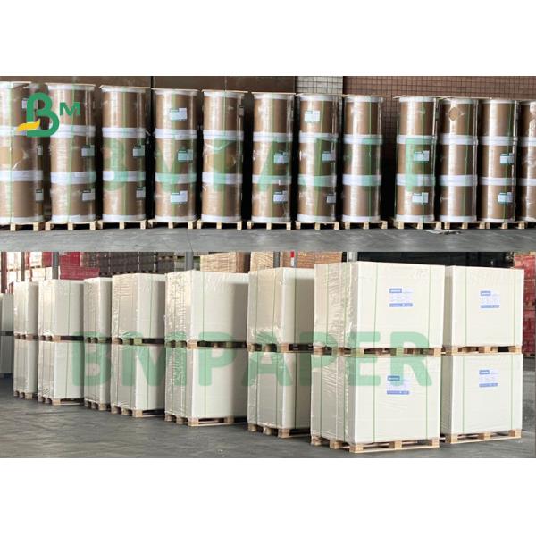 thermal synthetic paper Medical Wristband Printable Thermal Synthetic Paper 150um In Sheet & Roll