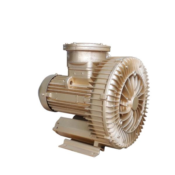 Anti Corrosinon Electric Goorui Side Channel Blower Pump Anti Explosion
