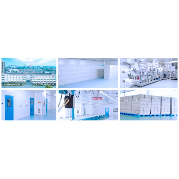 Hubei Haixin Disposable Blue CPE Indoor Shoe Covers Waterproof Nonslip Shoe Cap Blue Plastic Automatic Shoe Cover Wholesale