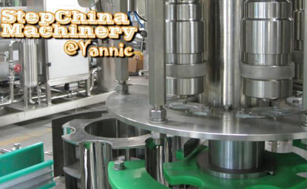 Large Automatic Pet Bottle Water Filling Machine , Drinking Water Production Line