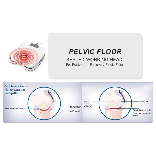 Профилировщик тела потери веса стимулятора мышцы Ems фабрики ваяя уменьшая машину