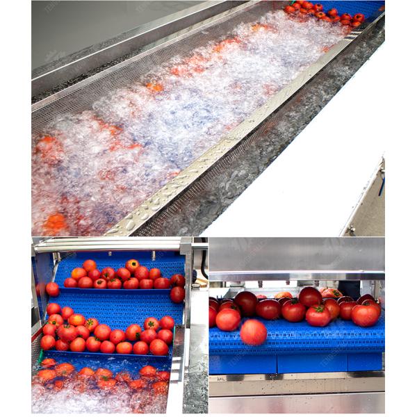 Vegetable and fruit brush and washing production line Fruit Vegetable FOOD processing production Machine