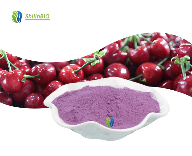 SLBIO Supply High Quality Food Grade Herbal Extract Cherry Fruit Powder Solvent Extraction in Drum or Can Packaging