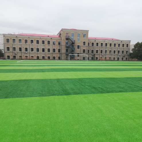 Eco Friendly Artificial Grass Infill Granules for Football Fields School Sports Grounds Playgrounds 