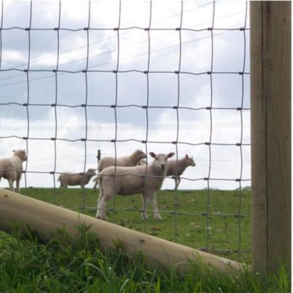 Heavy Duty 2.5mm Galvanized 1.5m High Deer Fence for Farm and Wildlife Protection