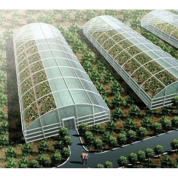Cultivation Method Hydroponics US Regulated Glass Greenhouse for Vegetable/Flower/Fruit
