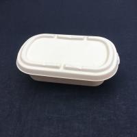 Fiambrera disponible de la ensalada biodegradable de la caña de azúcar del 100% con la tapa transparente