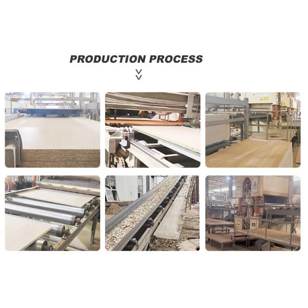 Твердая древесина из эпополя Дерево / карбонизированная эполя Клейные деревянные панели