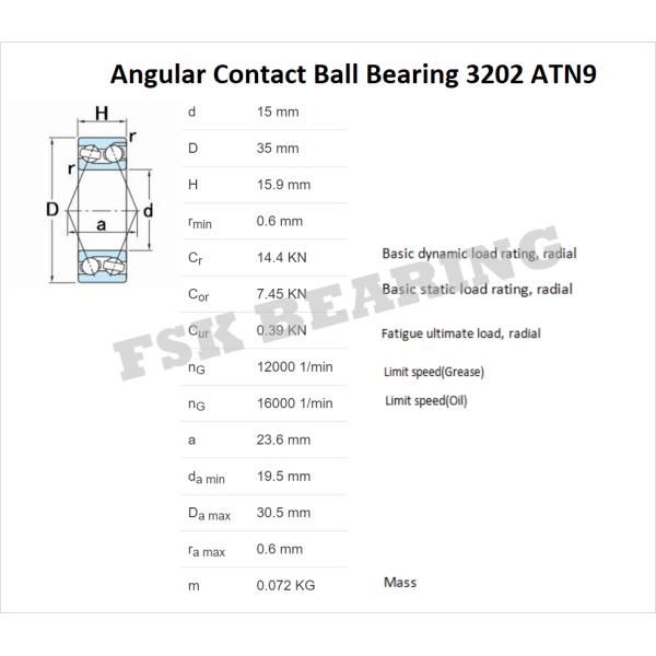Nylon Cage 3202 ATN9 , 3203 ATN9 , 3204 ATN9 Angular Contact Ball Bearing Double Row
