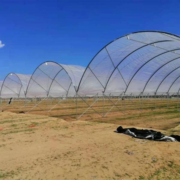 Diffused Plastic Tunnel Greenhouse 150 200 micron Berry Farm Planting Rain Shelter Green House strawberry
