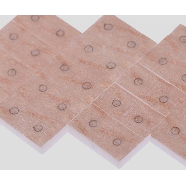 Good Health Care Acupuncture Ear Press Needles Various Specification and Certification