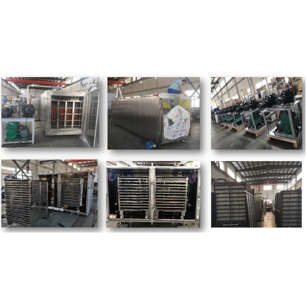81kw Fruits Vegetable Integral Vacuum Freeze Dryer