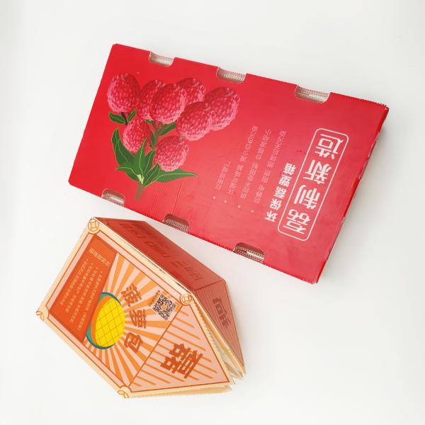 OEM Corrugated Plastic Packaging Boxes Apple Subscription 4C Offset Print