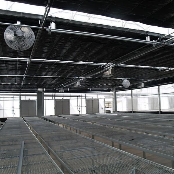 Внутренняя система затенения DIY Light Dep Blackout Tarp Теплица 30-60 м