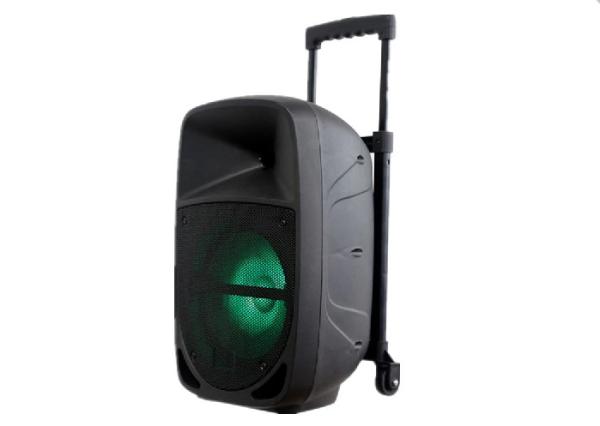 8'' Woofer Rechargeable Trolley Speaker Lead Acid 12V 4.5A Battery GLSPA