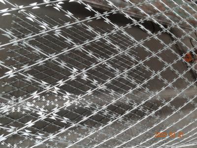 Silver Industrial 100x150 BTO-18 Welded Razor Mesh For Fence Protect