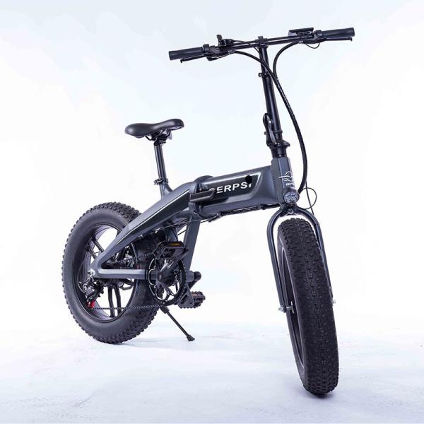 Two Wheel Mini Electric Fat Bike Big Tyres Rechargeable 36v Battery