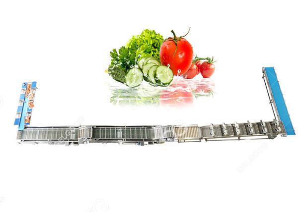 Automatic Fruit And Vegetable Washer Fruit And Vegetable Washing Processing Equipment