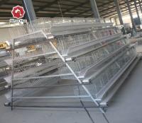 Batterie galvanisée plongée chaude de cage de couche de ferme avicole