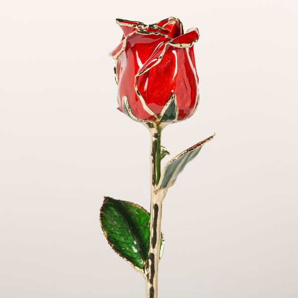 High Quality Gold Trimmed Rose Preserved Flower Beautiful Handmade Gifts for Woman