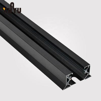 Ceiling Brass Track Lighting Rail System 110-248V 2 Wire Track Lighting