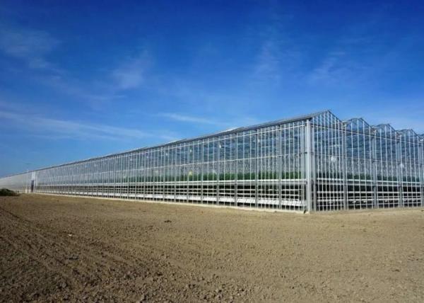 Sightseeing Venlo Glass Greenhouse Custom Shaped Glass Covering Greenhouse