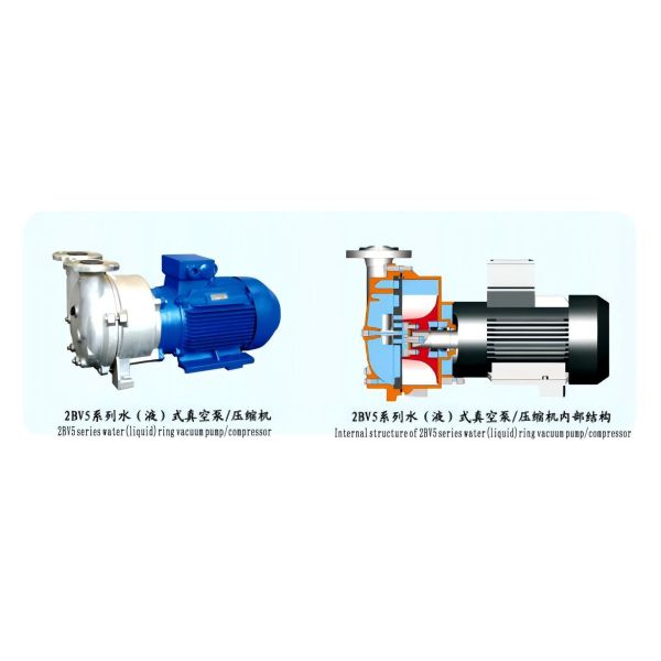 2BV2 061 Water Ring Vacuum Pump With 33mbar Ultimate Vacuum Explosion Proof