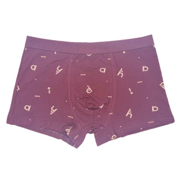 Mens Letter Printed Boxer Shorts Plus Size Men's Boxer Brief