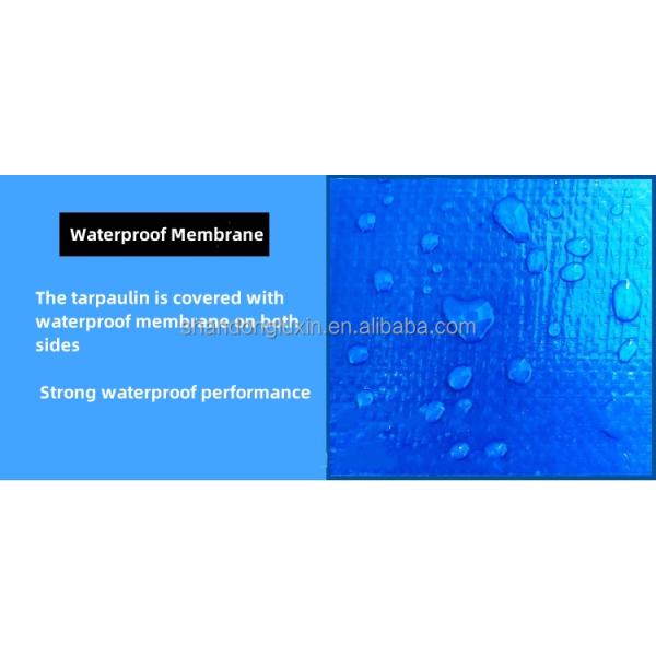 Непосредственно от производителей Прочая ткань для палат Окна крыша Покрытие крыши ПЕ брезент