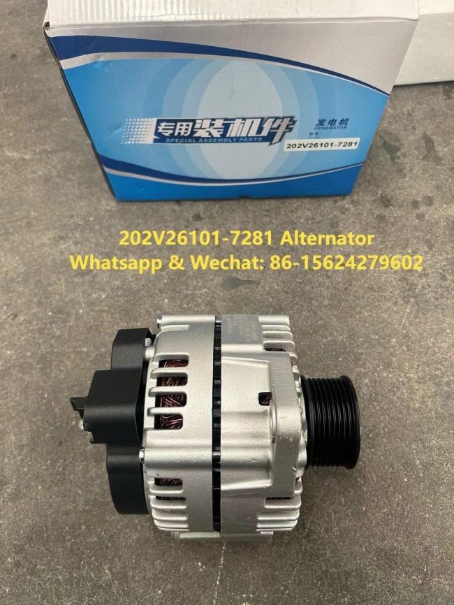 Альтернатор 202V26101-7281 WEICHAI Части двигателя Альтернаторная сборка Альтернаторный генератор Weichai