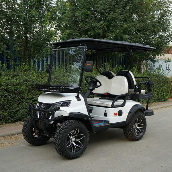 Lake Horse Electric Golf Cart with Buggy Car Tour Tire Front Disc Rear Drum Brake System