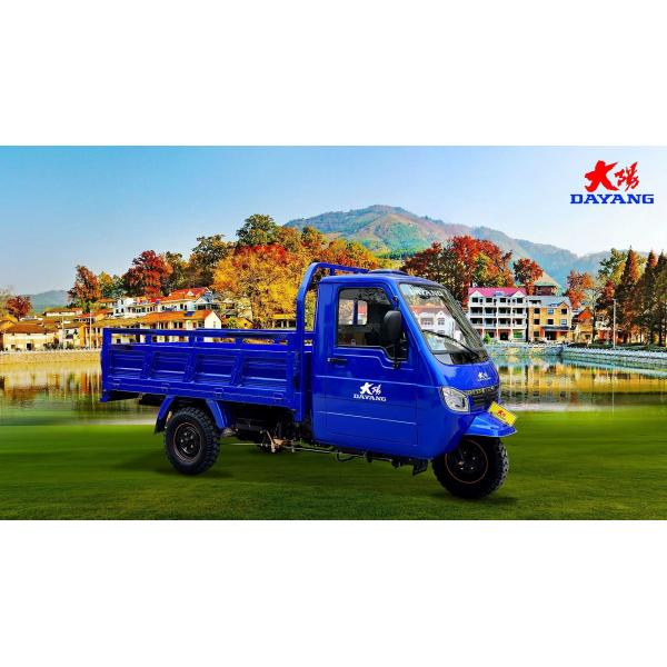 1000W Single Cyclinder 4 Stroke Motorized Tricycles for Pice de Moto Bajah Motorized