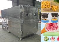Electric Heating Vacuum Freeze Dryer Machine Freeze Drying Equipment
