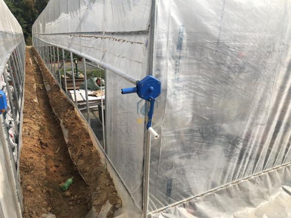 Longue durée de vie PE PO Film en plastique enroulé jusqu'à ventilation tunnel serres pour l'agriculture