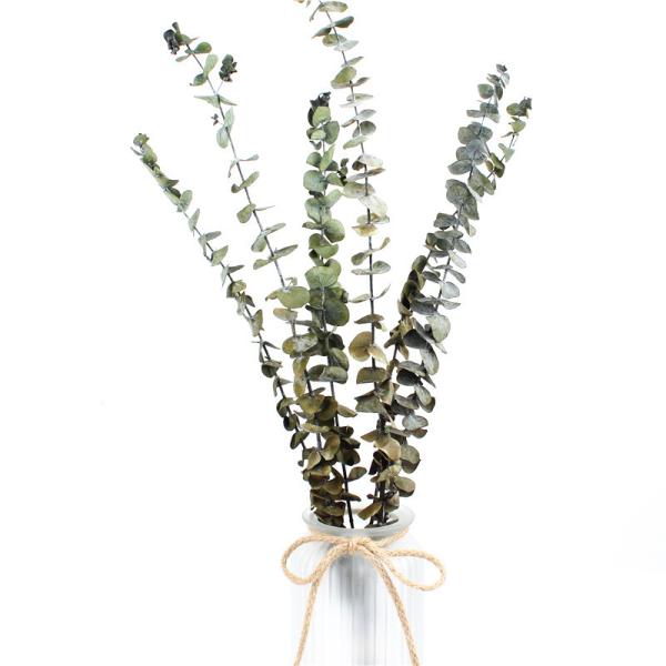 Forever Preserved Foliage Eucalyptus Big Leaves For Indoor Decoration