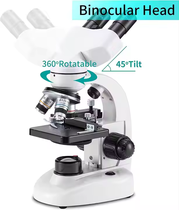 Factory Price 64X-640X Magnification Microscope Student Education Compound Biological Optical Binocular Microscope