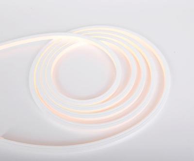 12V cattable silicone cover outdoor waterproof led neon flex rope light
