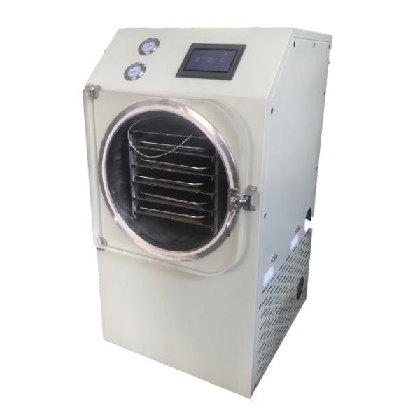 Tecnologia excelente do controle de temperatura de Mini Kitchen Freeze Dryer Durable