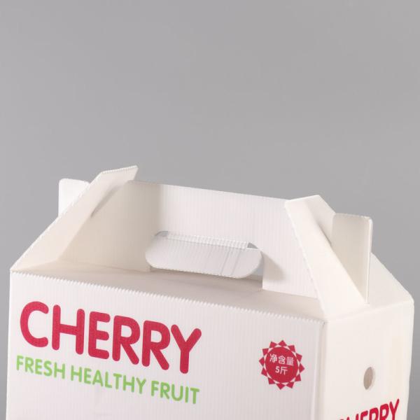 Eco Friendly Fruit Packing Boxes White Fruit Shipping Boxes Impact Resistant