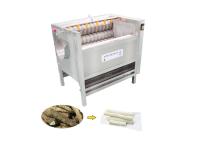 équipement d'épluchage de pommes de terre de rouleau de brosse de 1000kg/H 1200mm