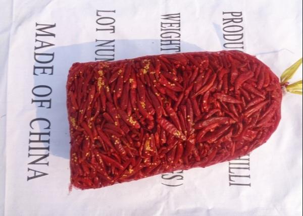 12 % d'humidité 4-7 cm de piment d'oiseau séché Piments rouges chaotiens entiers