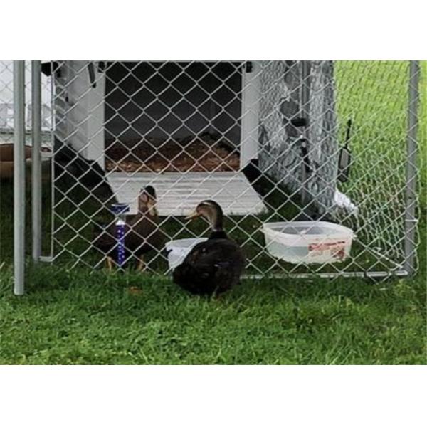 Modular Chain Link Fence Fabric Kennel Kit 4 Ft X 5 Ft X 10 Ft