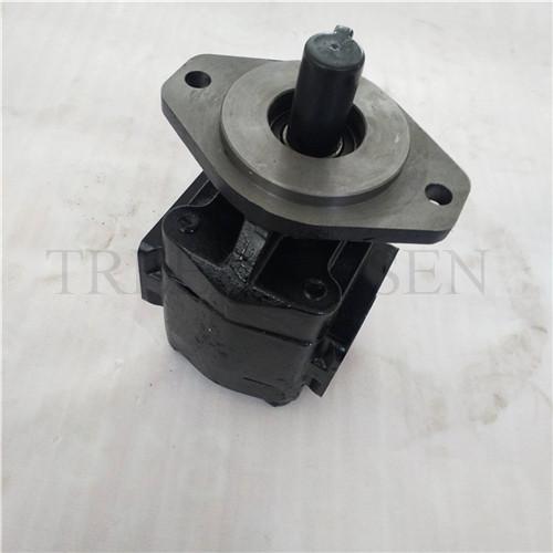 Hydraulic gear motor M20A997BEAF2043