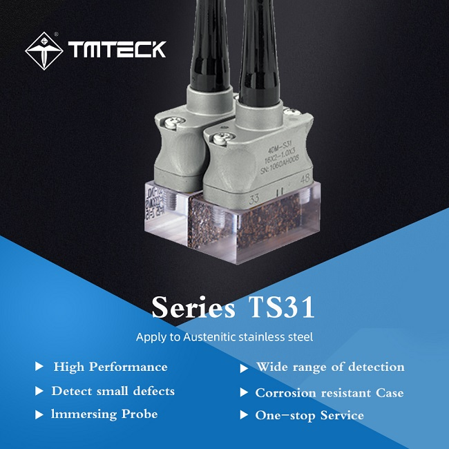 TS31 A17 Dual 1.5D Matrix Probe