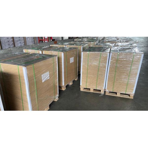 Смещенная бумага бумага 100gsm Woodfree на буклеты и брошюры офсетной печати 650 x 1000mm